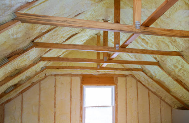 Best Geographic-Specific Insulation Services in Winfield, MO