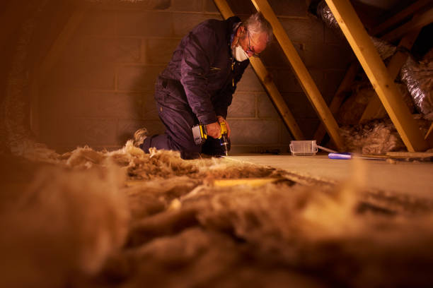 Best Specialized Insulation Services in Winfield, MO