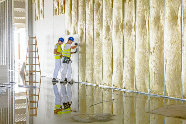 Best Spray Foam Insulation in Winfield, MO
